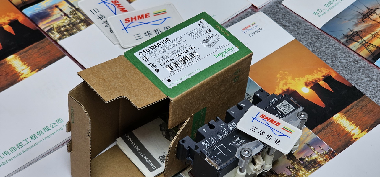 20250204_113943 20250204_113943