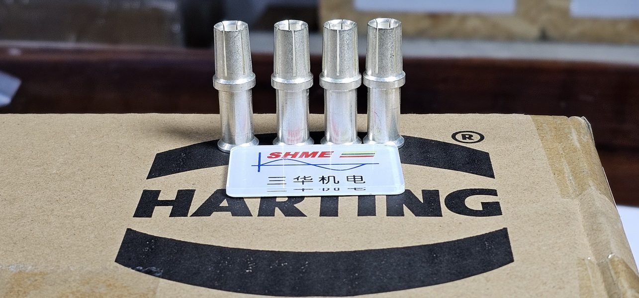 20250202_095223 20250202_095223