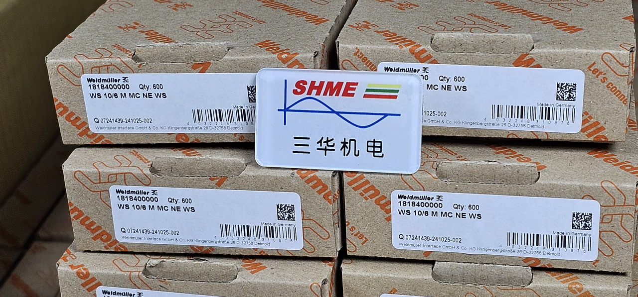 20250303_093937 20250303_093937