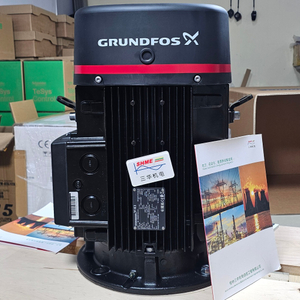 Линейный насос Grundfos/TPE серии/TPE25-40/TPE25-50