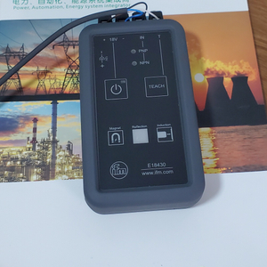 IFM/Датчики температуры/TN2404/TN2900